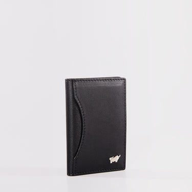 ALVA MAGNETIC CARD HOLDER